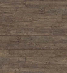 КЛЁН СЕРЕБРЯНЫЙ ВАРИО